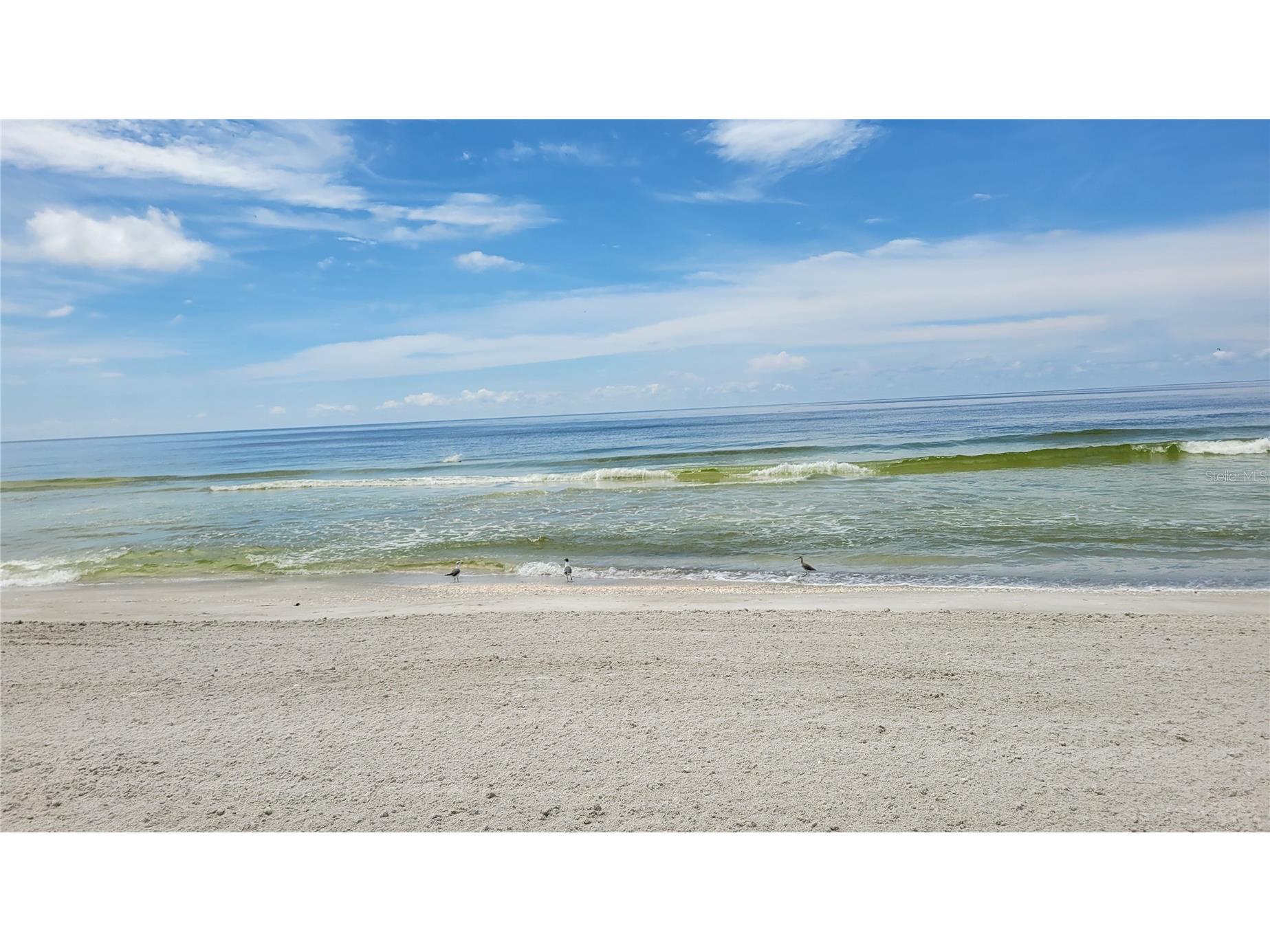 1000 Longboat Club Road #406 Longboat Key FL 34228 A4691368 image27