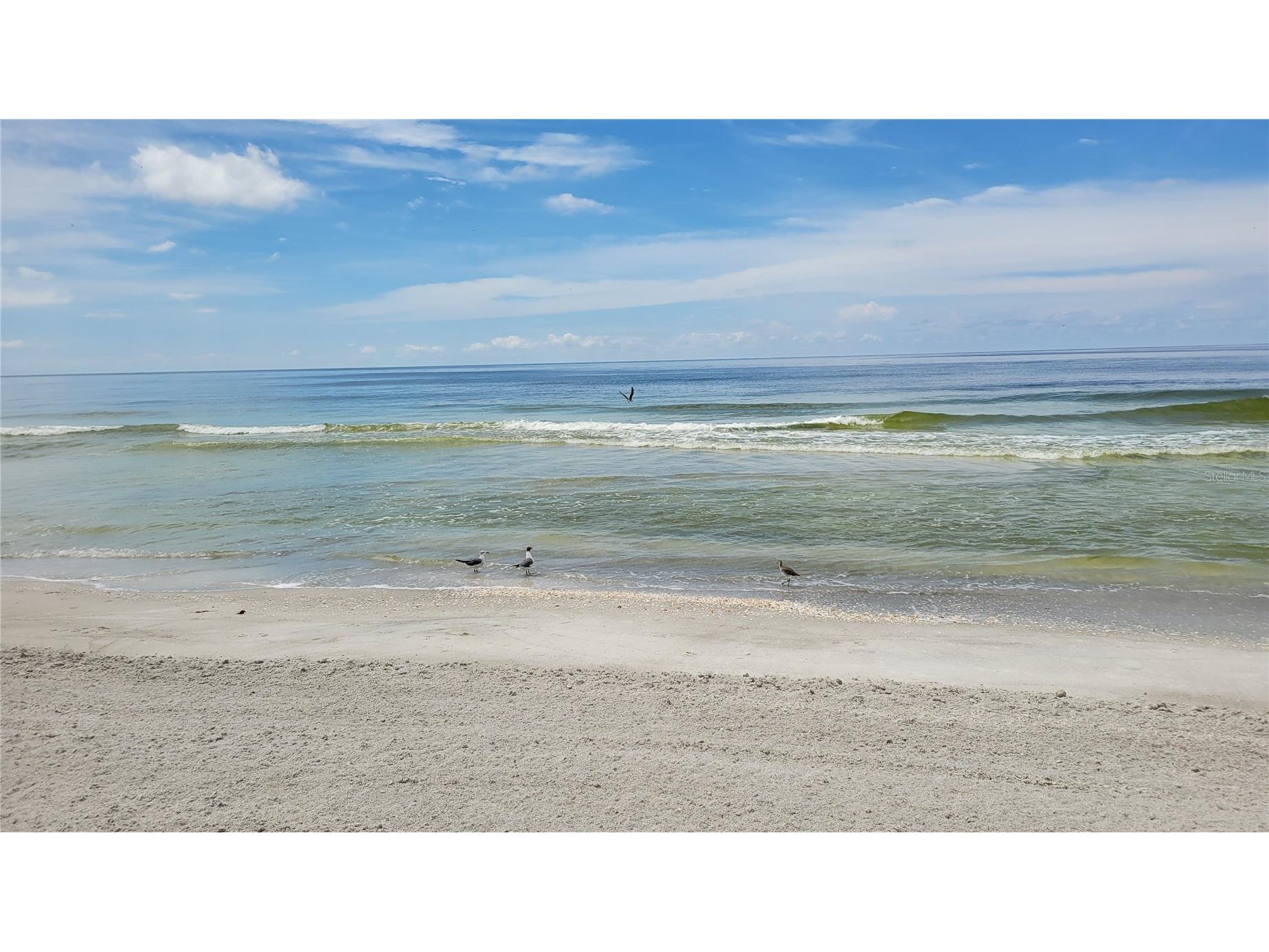 1000 Longboat Club Road #406 Longboat Key FL 34228 A4691368 image28