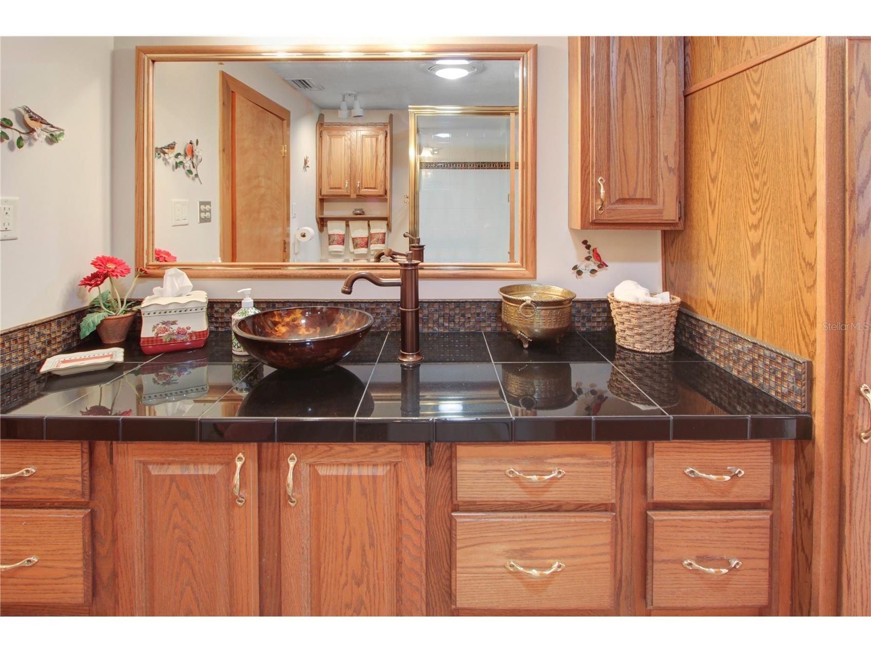 1000 Loves Point Drive Leesburg FL 34748 - LAKE HARRIS G5114858 image26