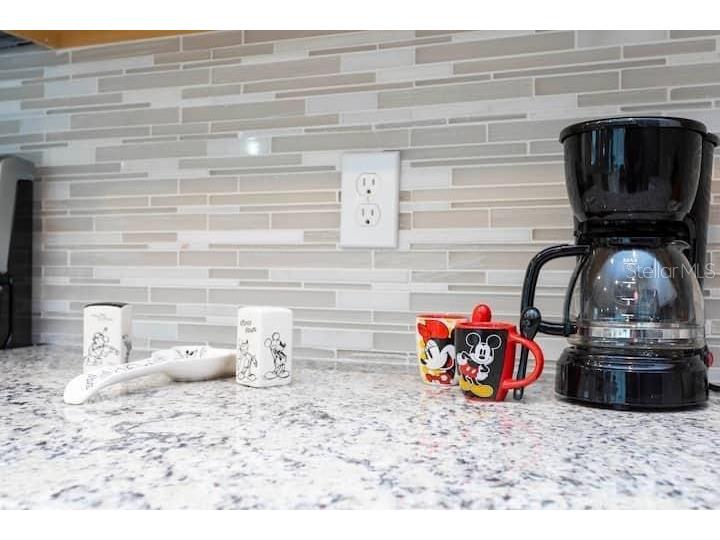 1000 Paradise Drive Davenport FL 33897 O6327268 image11