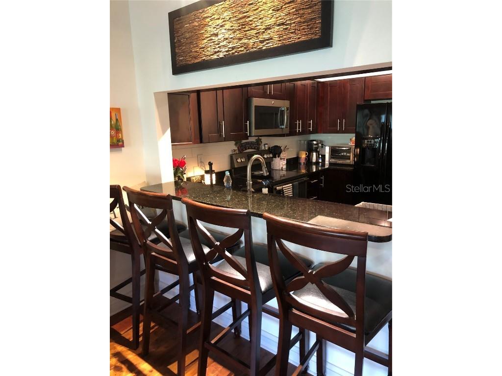 1000 S Harbour Island Boulevard #2210 Tampa FL 33602 TB8416128 image20