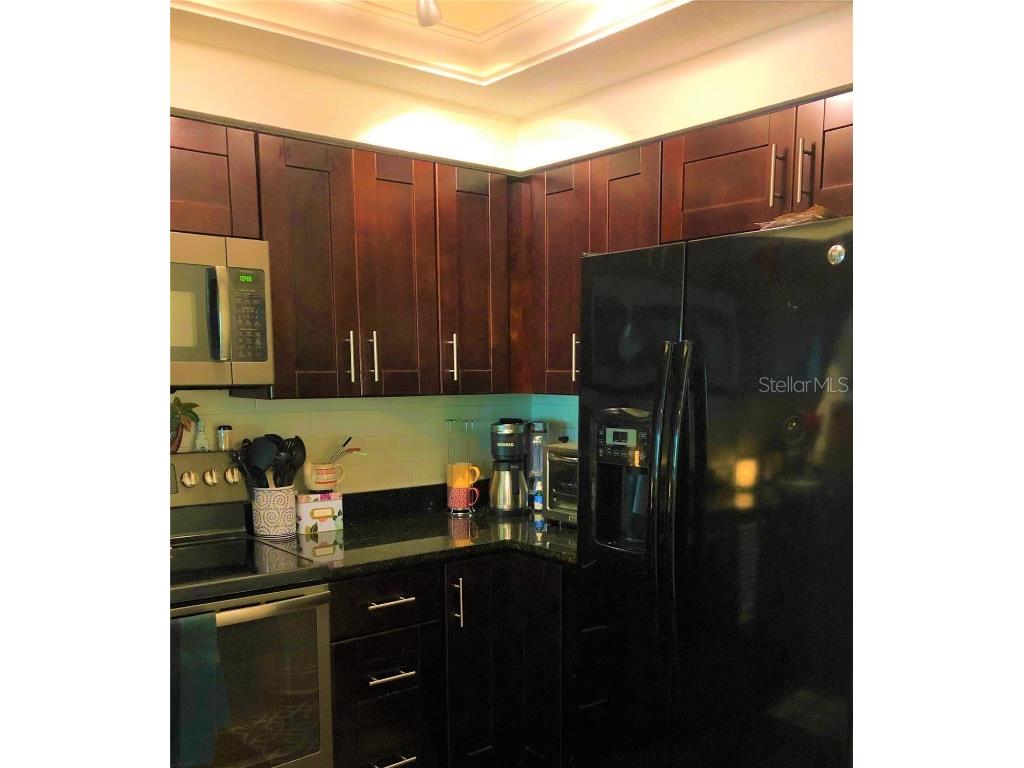 1000 S Harbour Island Boulevard #2210 Tampa FL 33602 TB8416128 image21