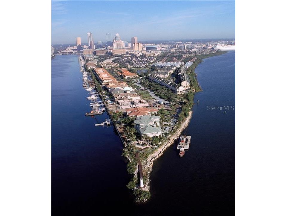 1000 S Harbour Island Boulevard #2210 Tampa FL 33602 TB8416128 image63
