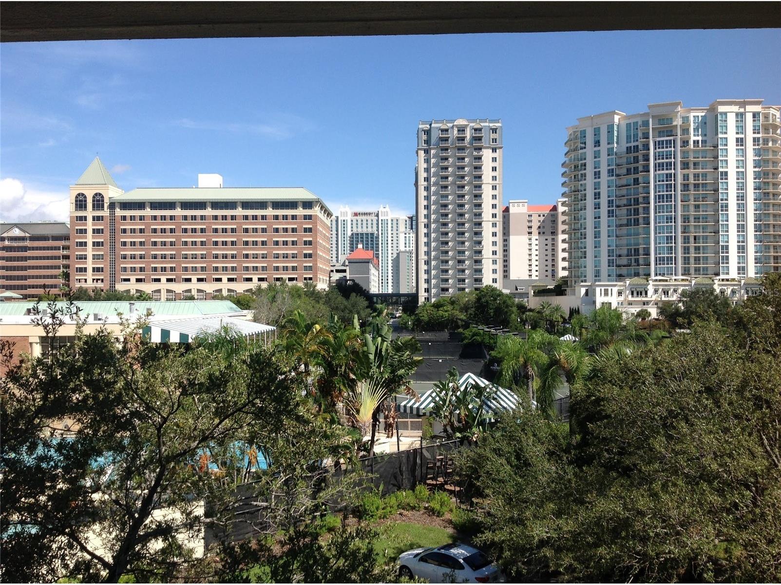 1000 S Harbour Island Boulevard #2303 Tampa FL 33602 TB8494827 image14