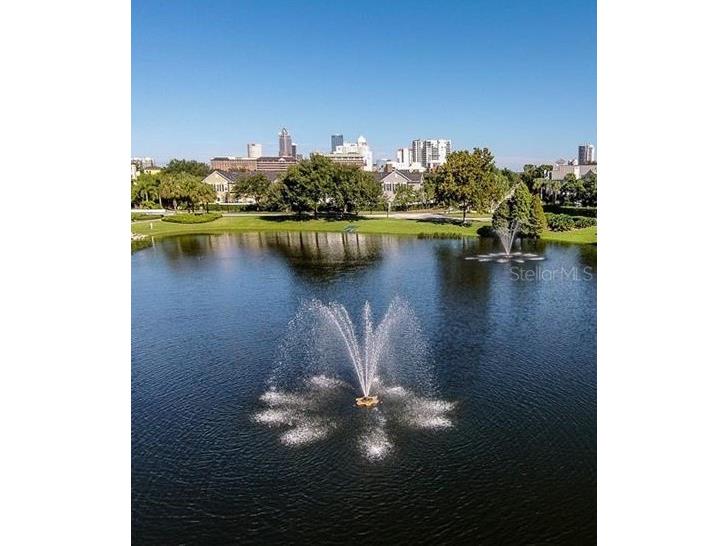 1000 S Harbour Island Boulevard #2303 Tampa FL 33602 TB8494827 image17