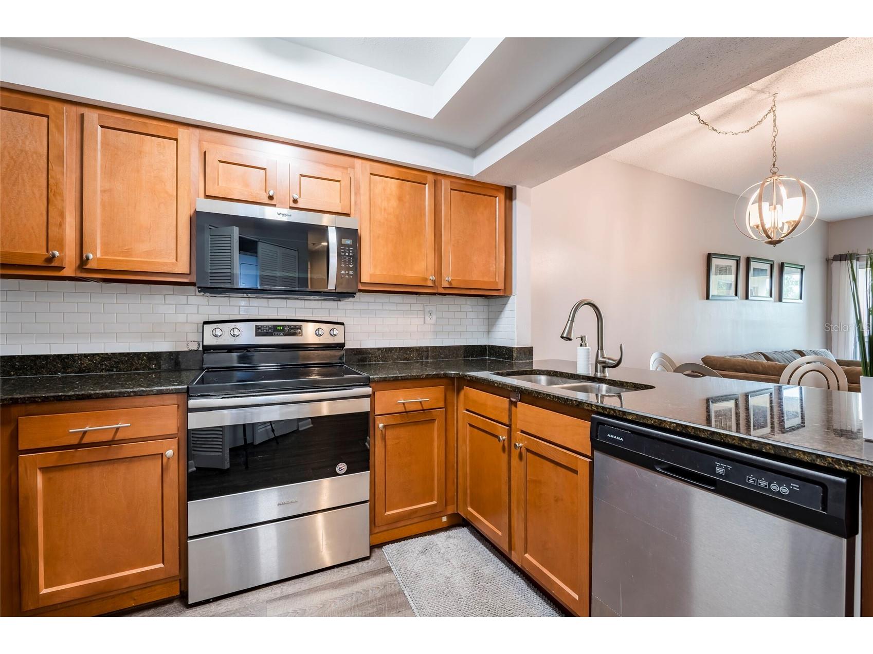 1000 S Harbour Island Boulevard #2303 Tampa FL 33602 TB8494827 image23