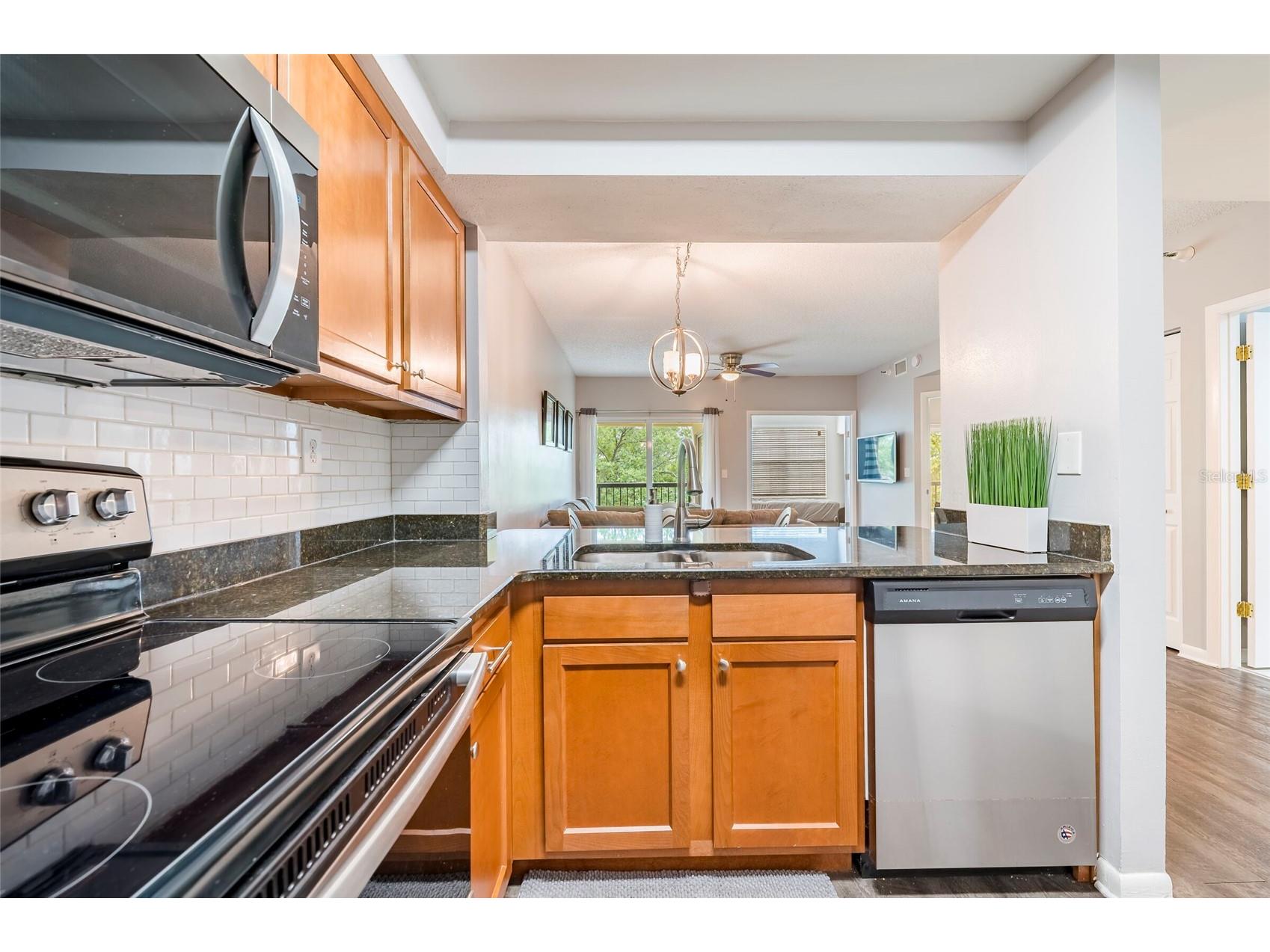 1000 S Harbour Island Boulevard #2303 Tampa FL 33602 TB8494827 image24