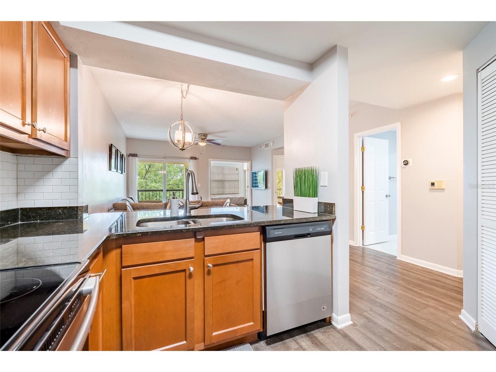 1000 S Harbour Island Boulevard #2303 Tampa FL 33602 TB8494827 image25