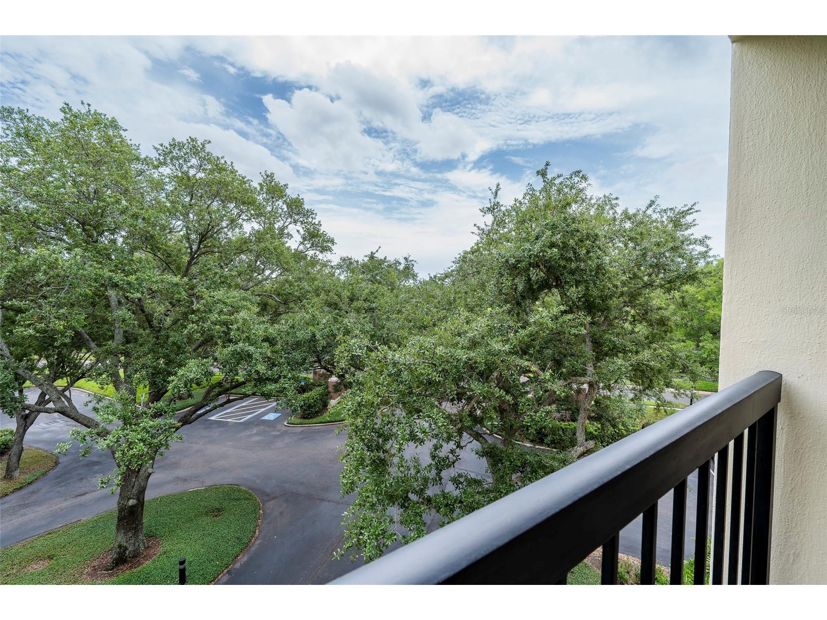 1000 S Harbour Island Boulevard #2303 Tampa FL 33602 TB8494827 image30