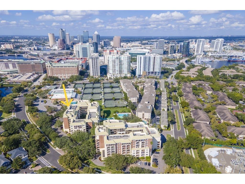 1000 S Harbour Island Boulevard #2306 Tampa FL 33602 TB8436316 image2