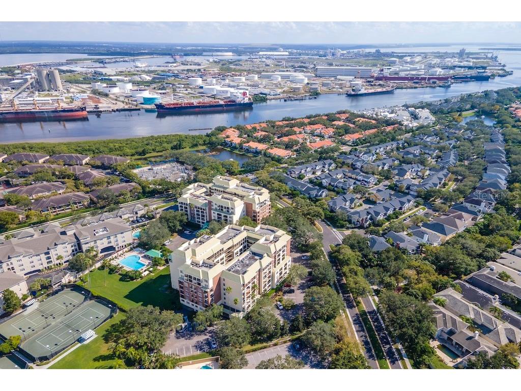 1000 S Harbour Island Boulevard #2306 Tampa FL 33602 TB8436316 image41