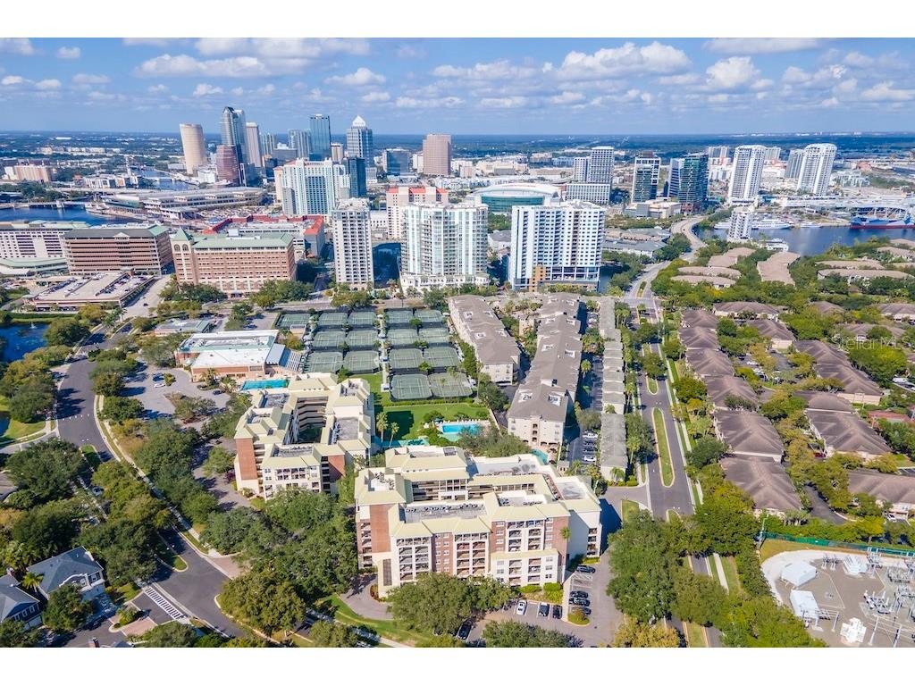 1000 S Harbour Island Boulevard #2306 Tampa FL 33602 TB8436316 image43