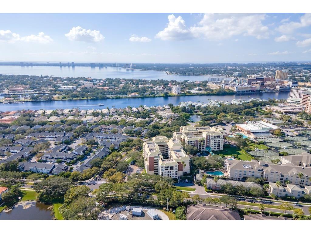 1000 S Harbour Island Boulevard #2306 Tampa FL 33602 TB8436316 image48