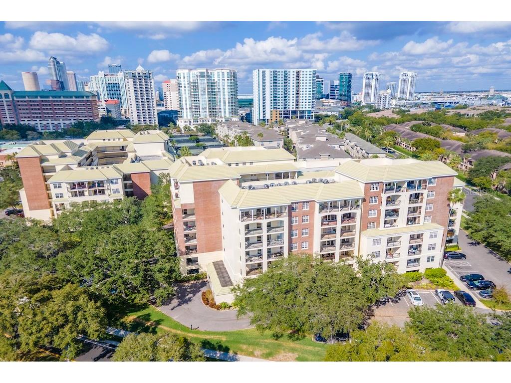 1000 S Harbour Island Boulevard #2306 Tampa FL 33602 TB8436316 image50