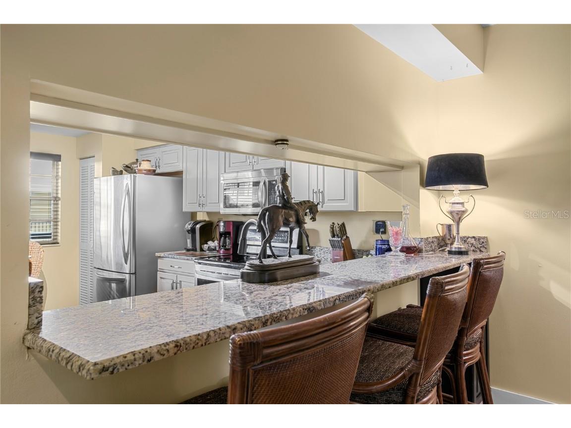 1000 S Harbour Island Boulevard #2306 Tampa FL 33602 TB8436316 image6