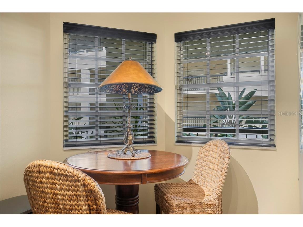 1000 S Harbour Island Boulevard #2306 Tampa FL 33602 TB8436316 image9