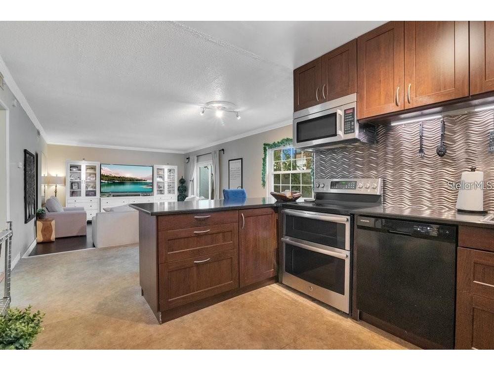 1000 S Semoran Boulevard #815 Winter Park FL 32792 R4910991 image2