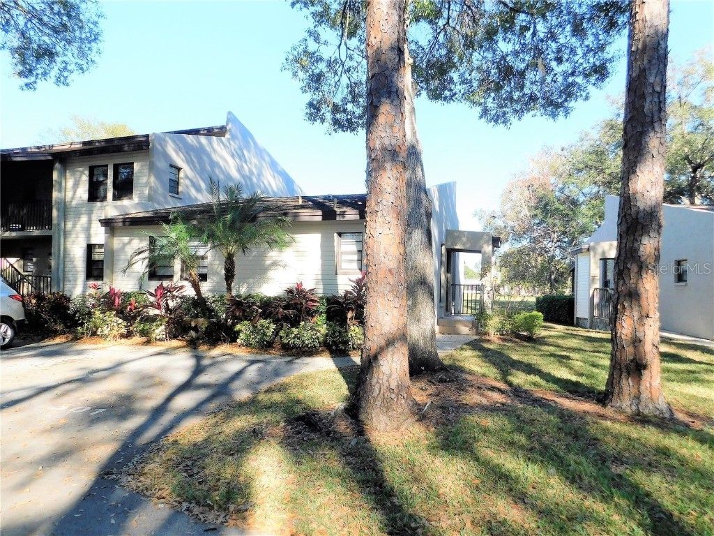 1000 Tarpon Woods Boulevard #301 Palm Harbor FL 34685 U8189507 image1