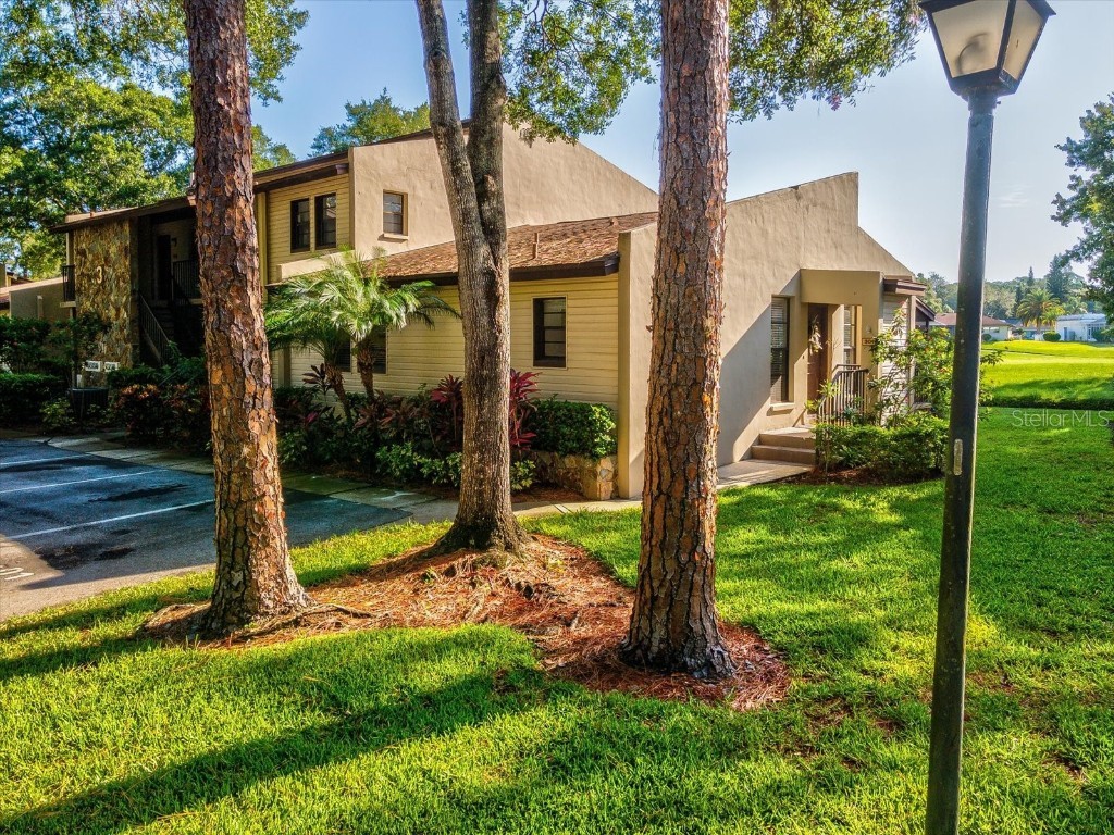 1000 Tarpon Woods Boulevard #301 Palm Harbor FL 34685 U8209441 image1