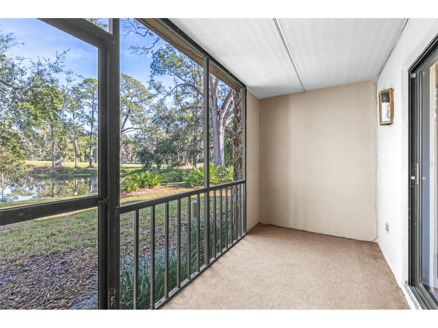 1000 Tarpon Woods Boulevard #503 Palm Harbor FL 34685 TB8462889 image37