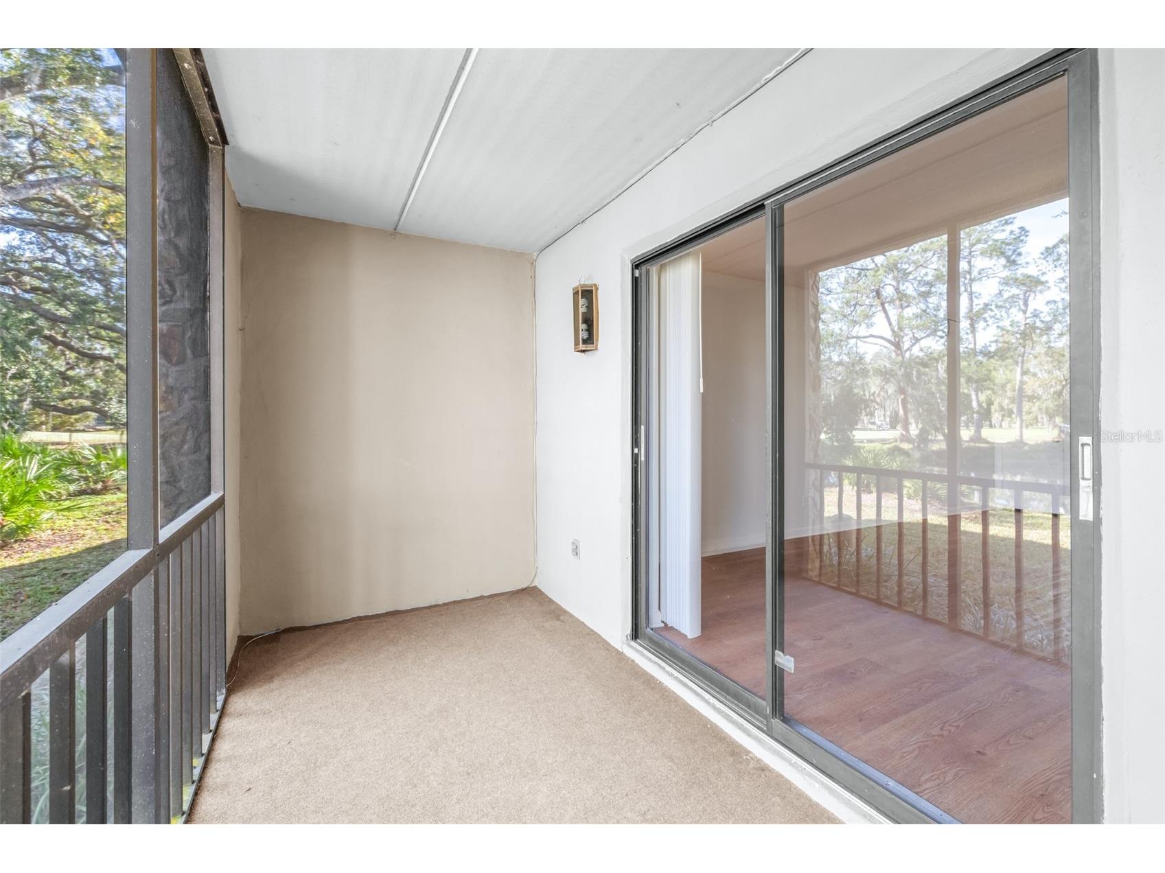 1000 Tarpon Woods Boulevard #503 Palm Harbor FL 34685 TB8462889 image38