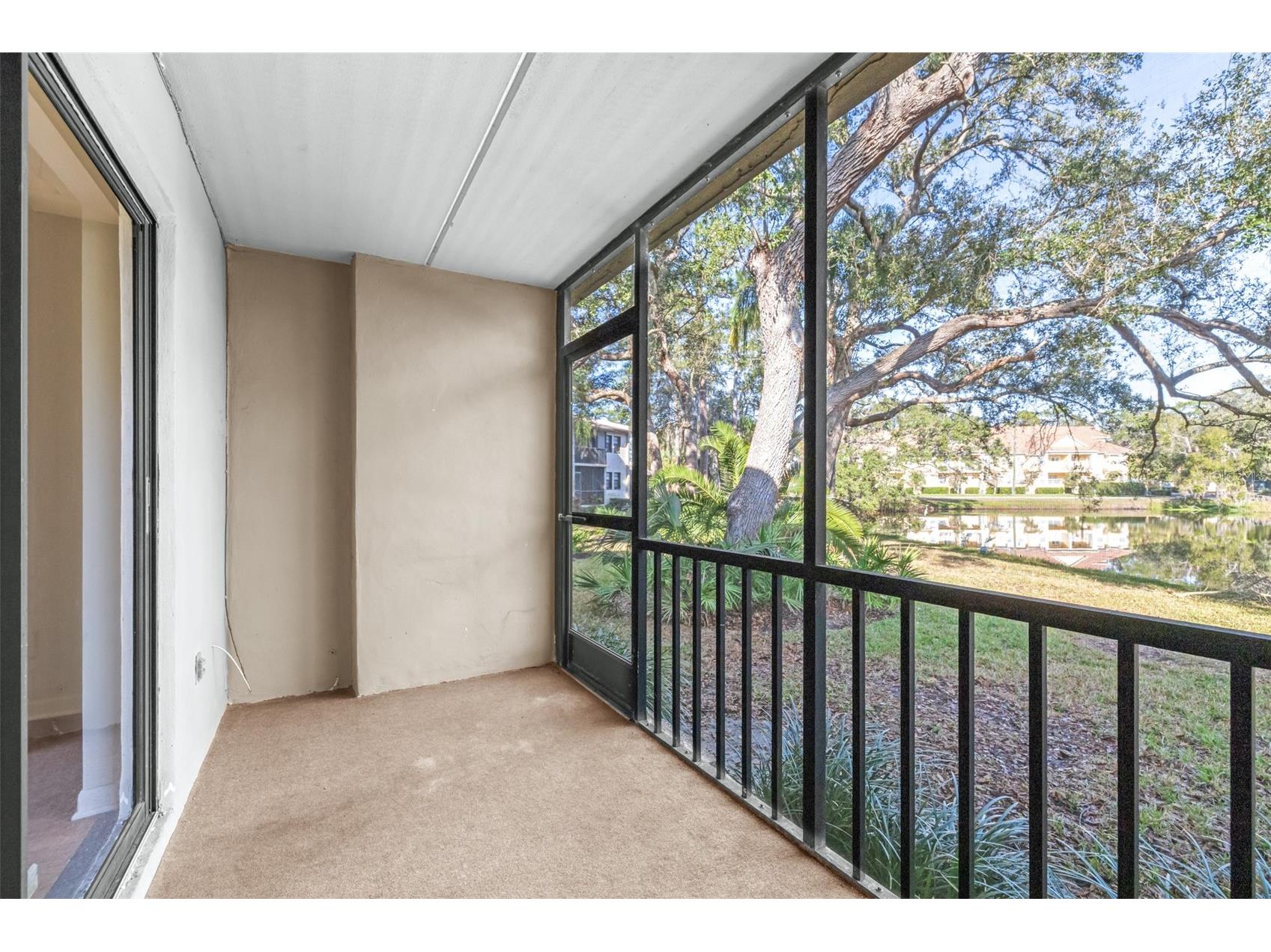 1000 Tarpon Woods Boulevard #503 Palm Harbor FL 34685 TB8462889 image40