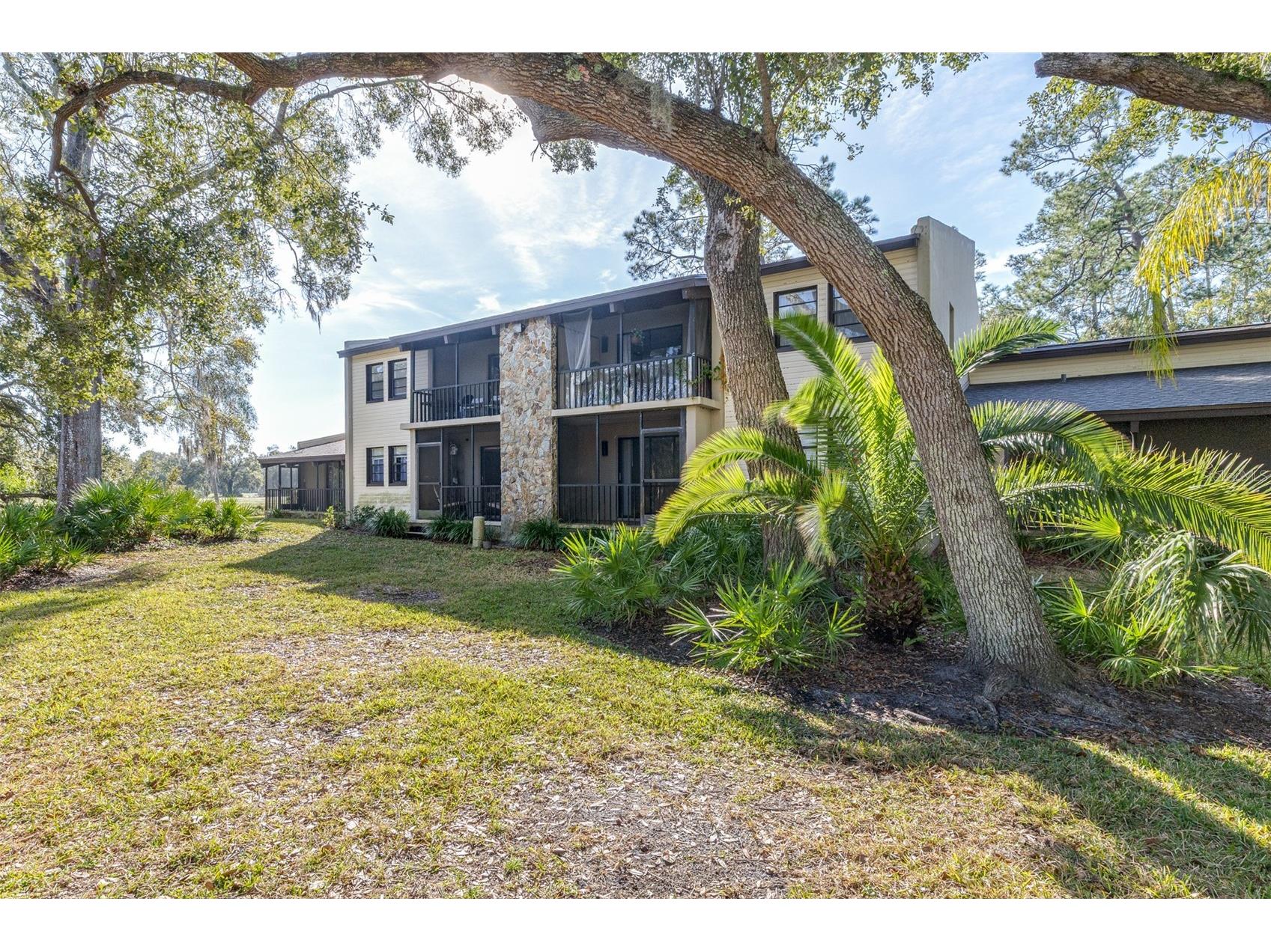 1000 Tarpon Woods Boulevard #503 Palm Harbor FL 34685 TB8462889 image42