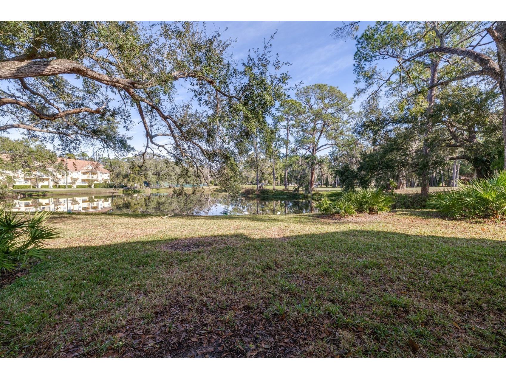 1000 Tarpon Woods Boulevard #503 Palm Harbor FL 34685 TB8462889 image44