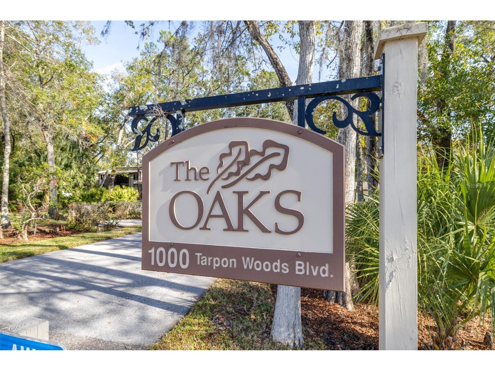 1000 Tarpon Woods Boulevard #503 Palm Harbor FL 34685 TB8462889 image46