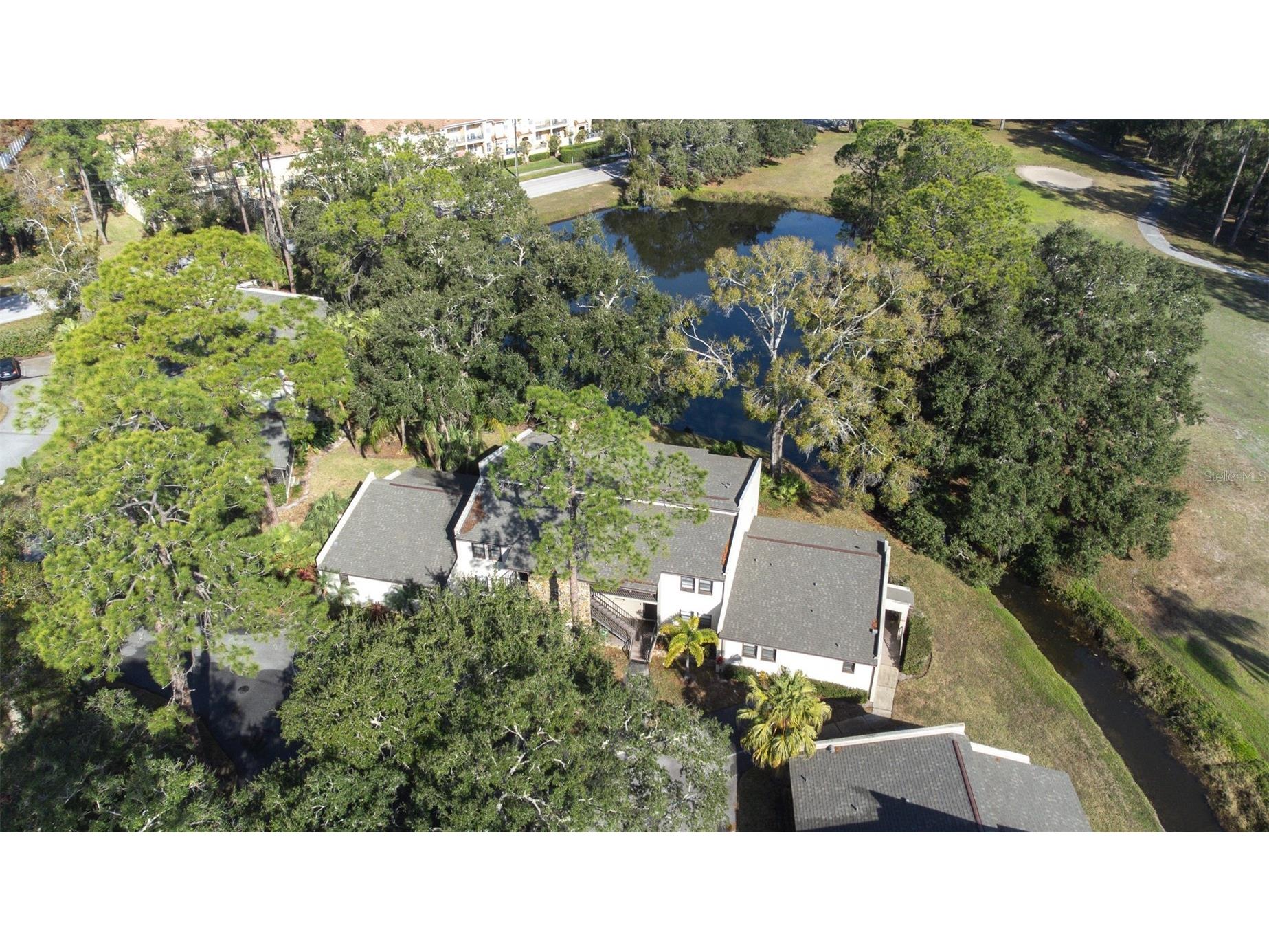 1000 Tarpon Woods Boulevard #503 Palm Harbor FL 34685 TB8462889 image47