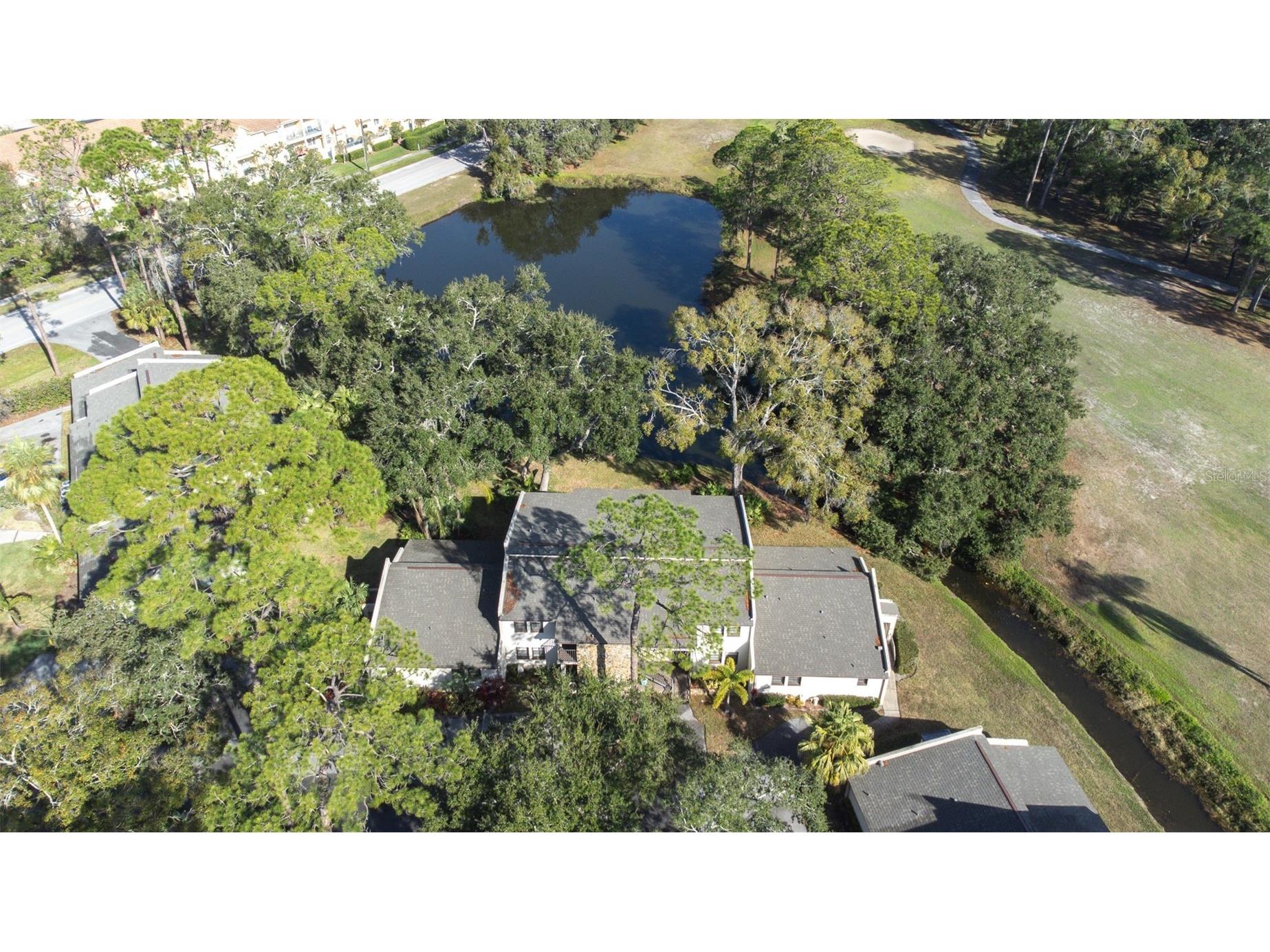 1000 Tarpon Woods Boulevard #503 Palm Harbor FL 34685 TB8462889 image48