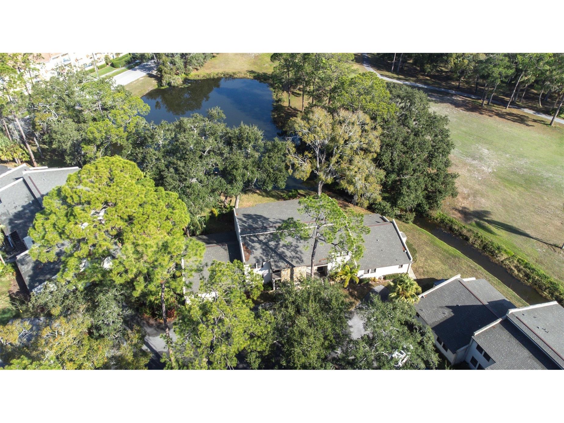 1000 Tarpon Woods Boulevard #503 Palm Harbor FL 34685 TB8462889 image49