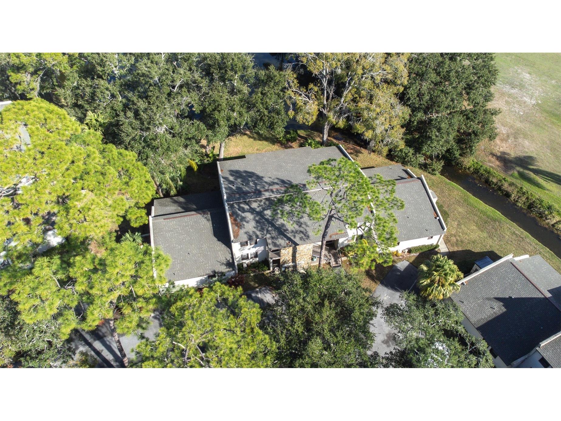 1000 Tarpon Woods Boulevard #503 Palm Harbor FL 34685 TB8462889 image50