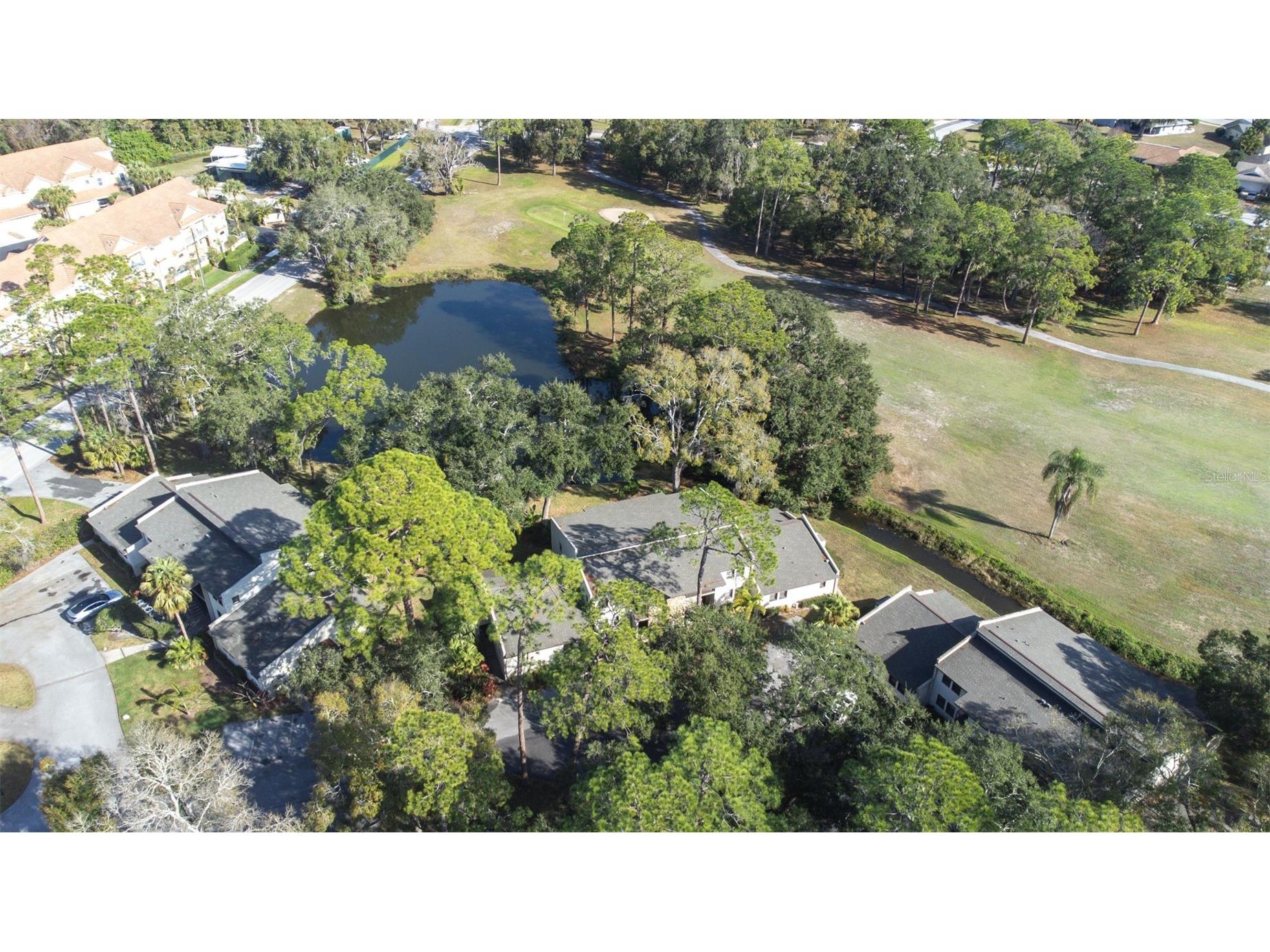 1000 Tarpon Woods Boulevard #503 Palm Harbor FL 34685 TB8462889 image51