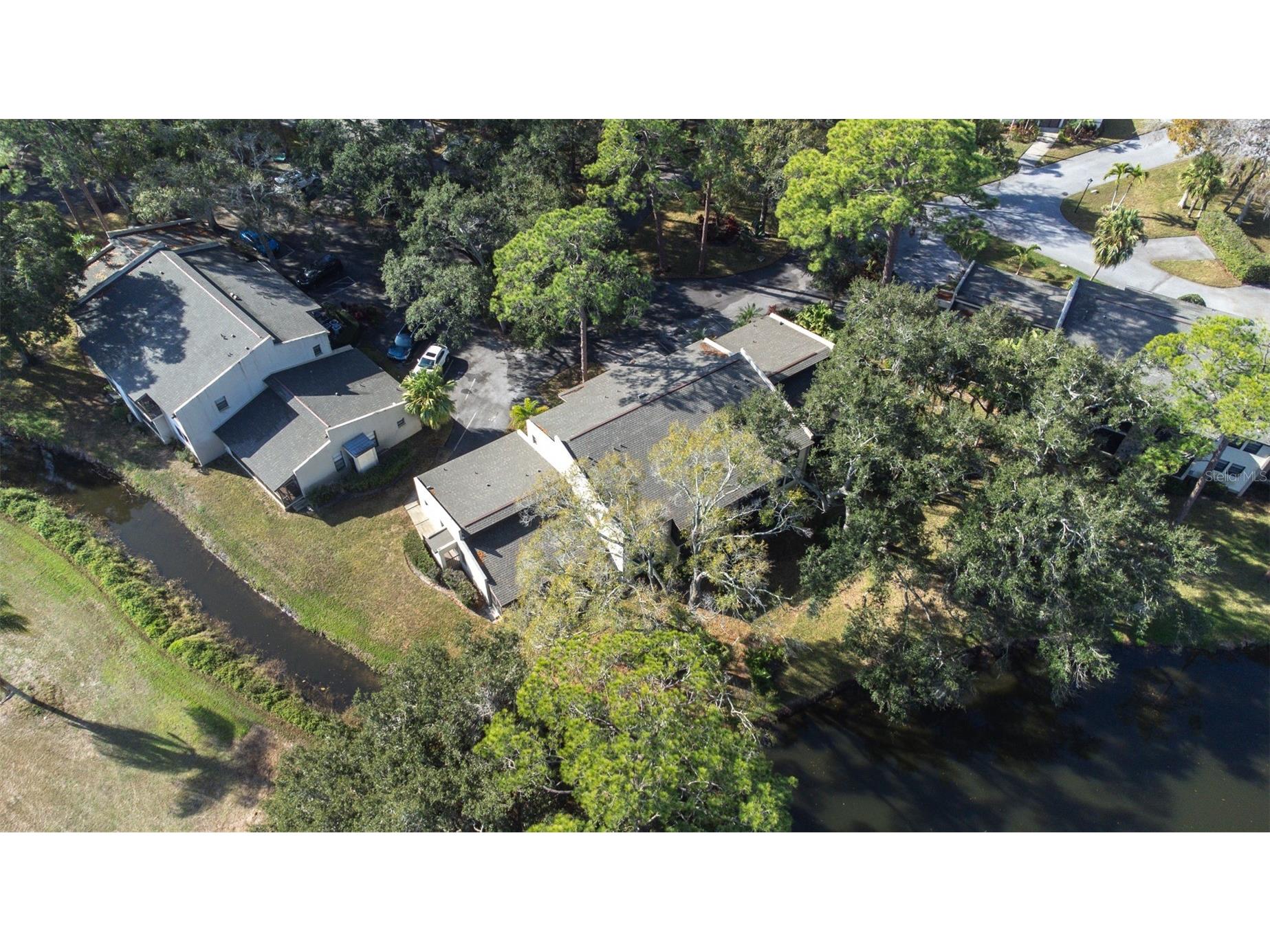 1000 Tarpon Woods Boulevard #503 Palm Harbor FL 34685 TB8462889 image53