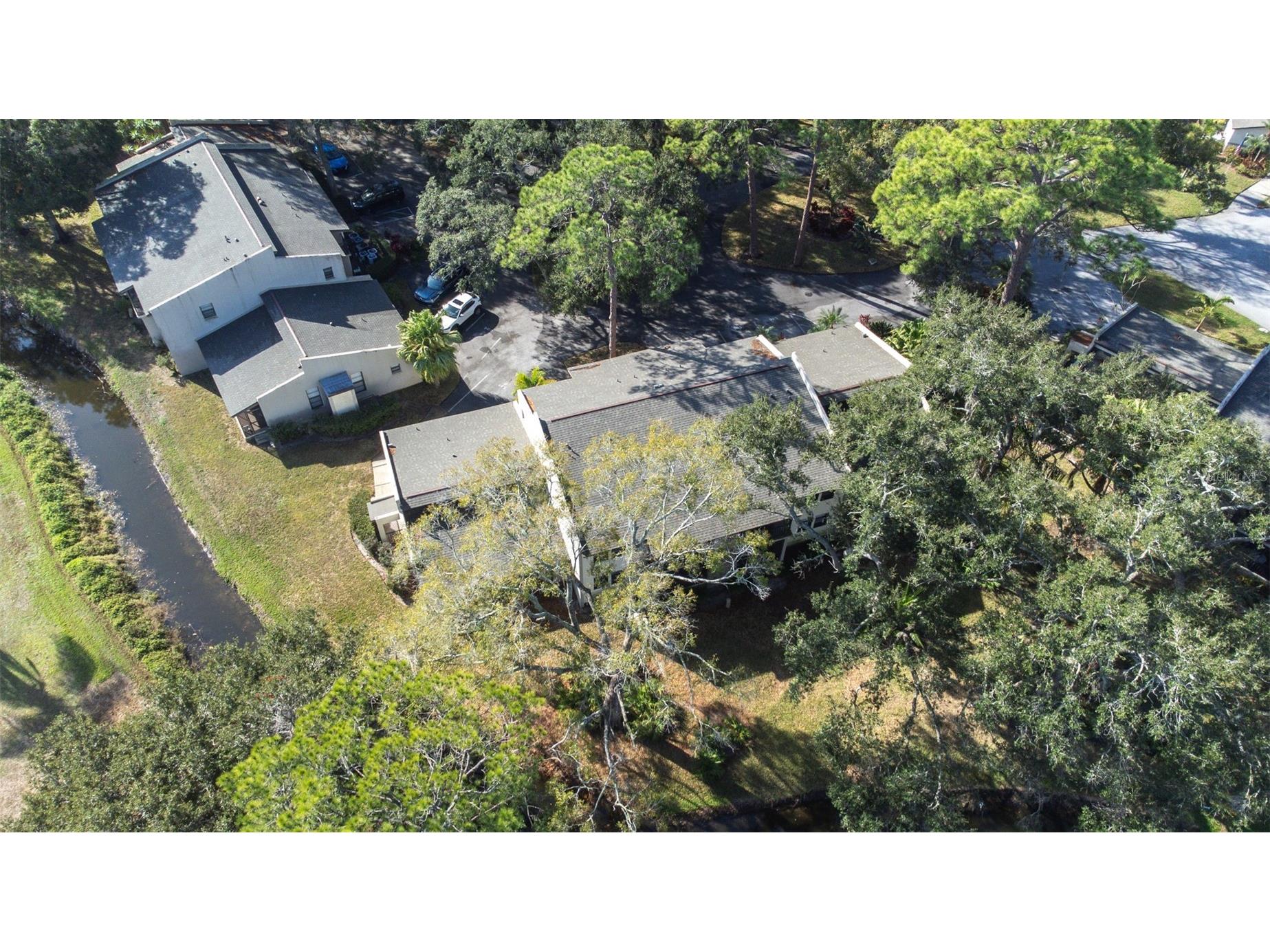 1000 Tarpon Woods Boulevard #503 Palm Harbor FL 34685 TB8462889 image54