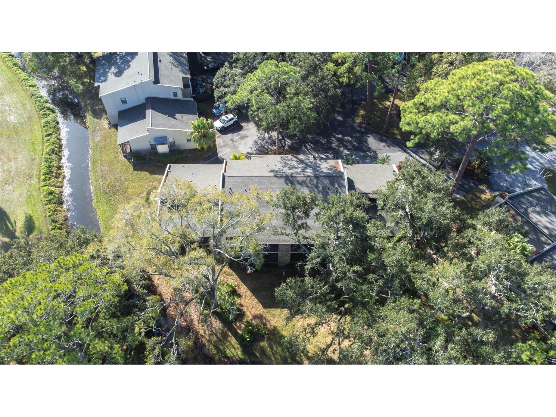 1000 Tarpon Woods Boulevard #503 Palm Harbor FL 34685 TB8462889 image55