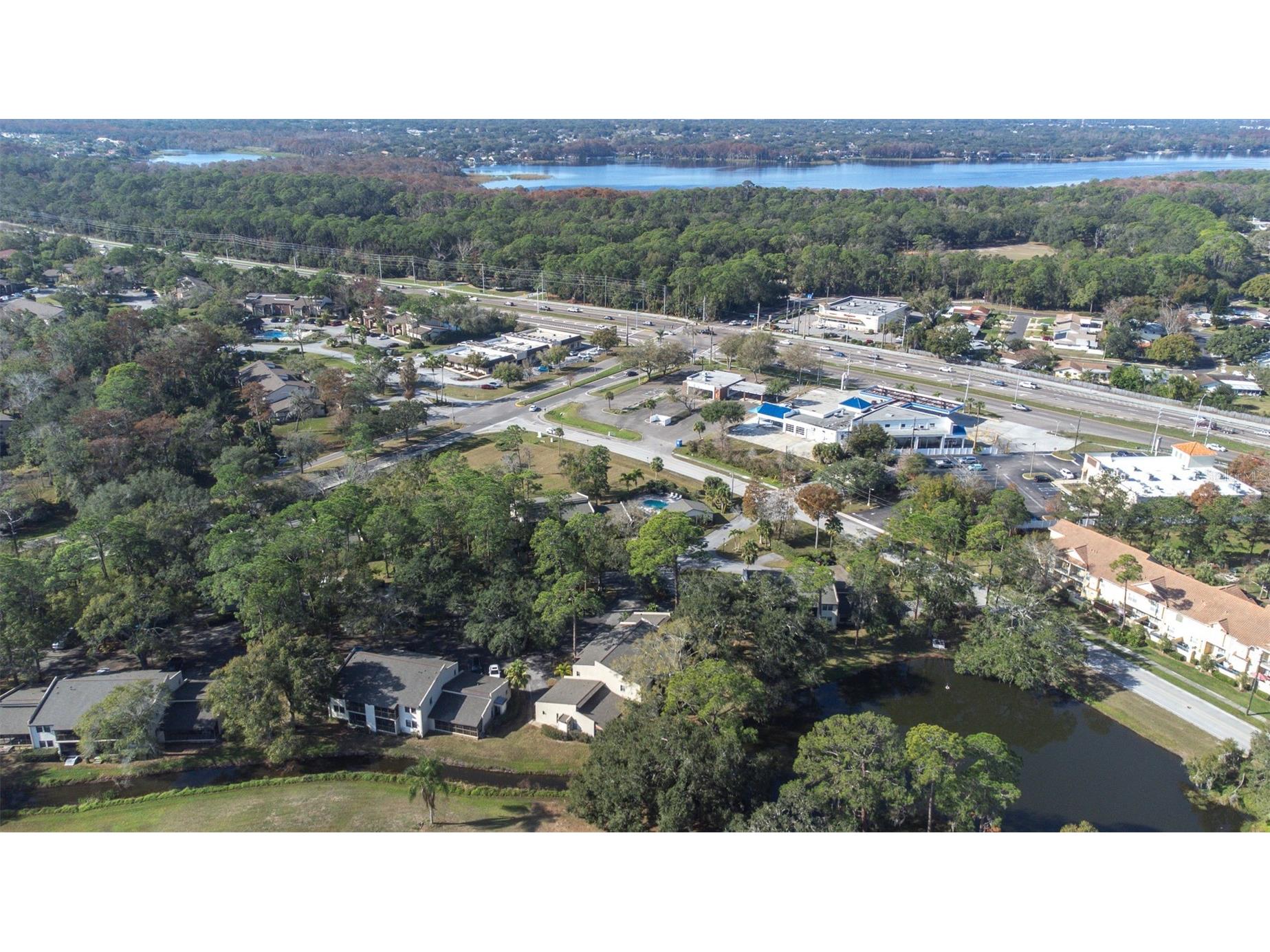 1000 Tarpon Woods Boulevard #503 Palm Harbor FL 34685 TB8462889 image56