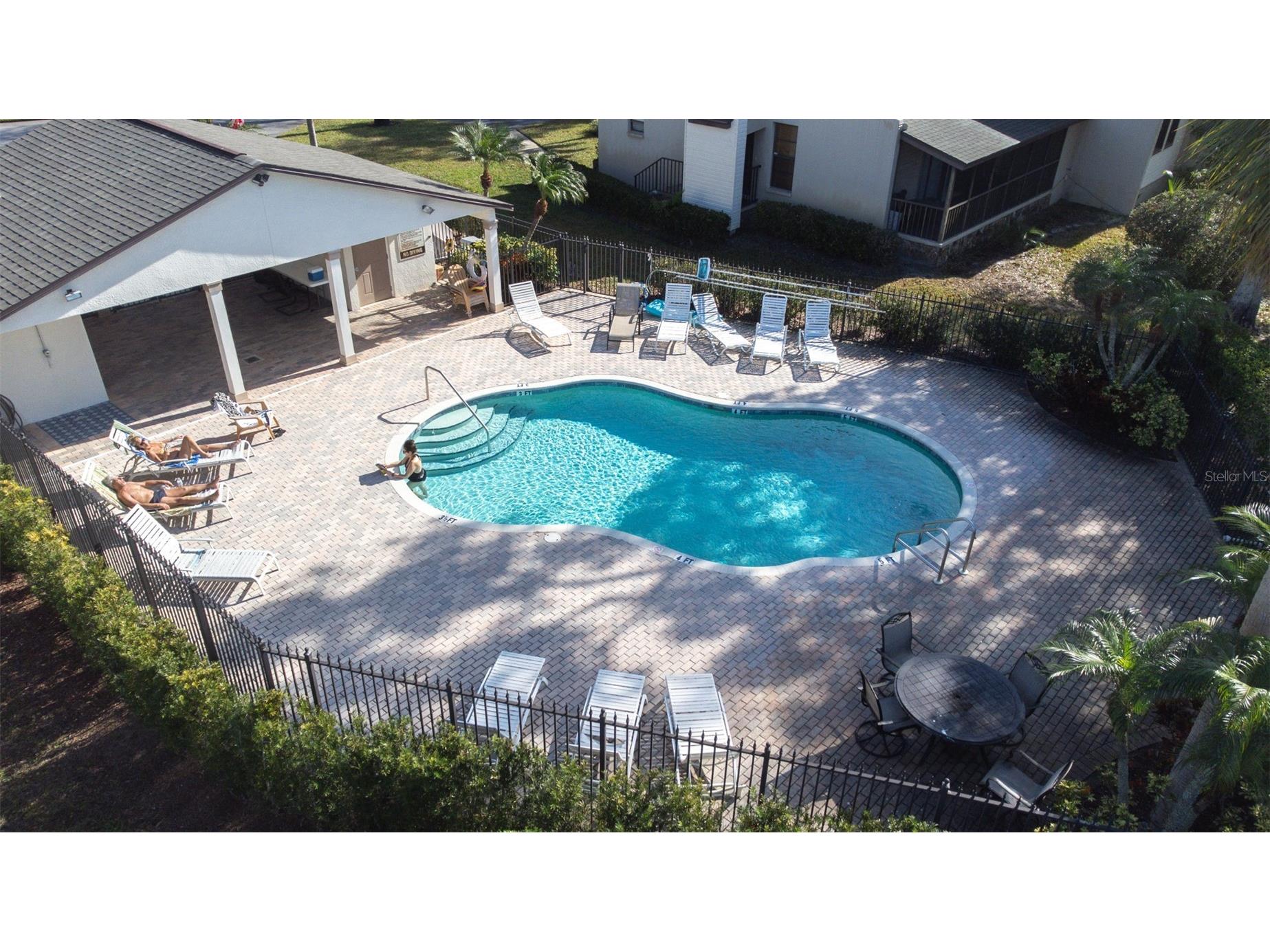 1000 Tarpon Woods Boulevard #503 Palm Harbor FL 34685 TB8462889 image57