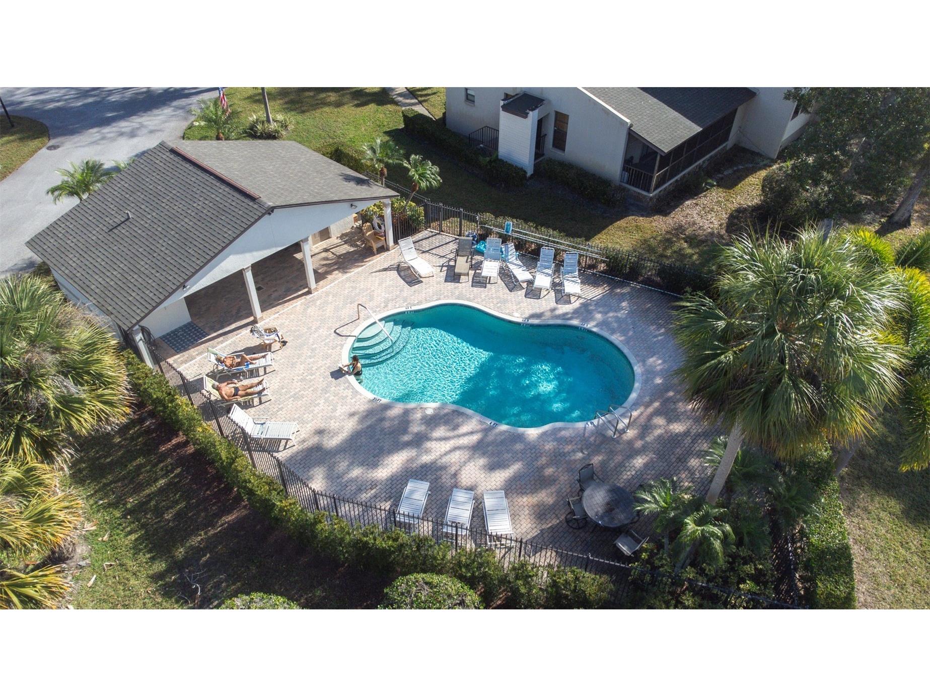 1000 Tarpon Woods Boulevard #503 Palm Harbor FL 34685 TB8462889 image59