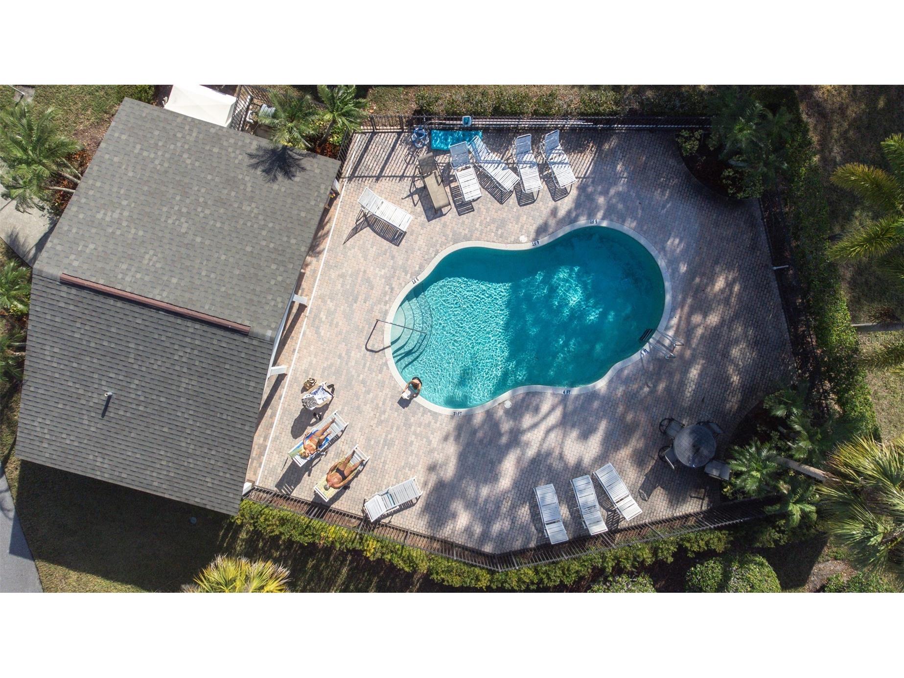 1000 Tarpon Woods Boulevard #503 Palm Harbor FL 34685 TB8462889 image60