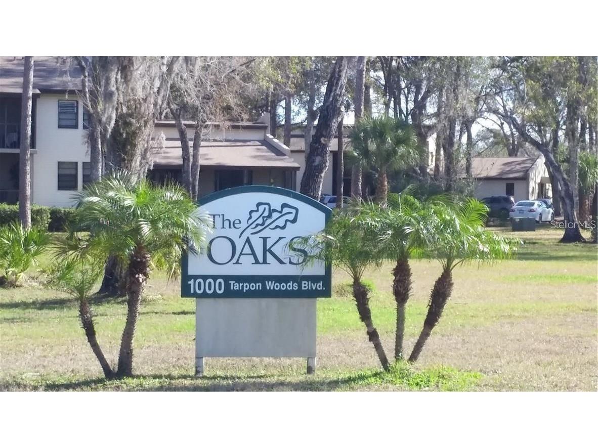 1000 Tarpon Woods Boulevard #804 Palm Harbor FL 34685 T3534644 image2