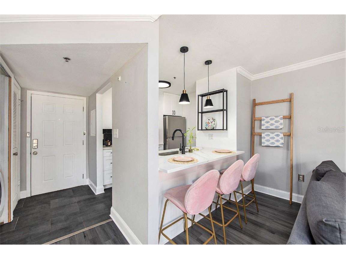 1000 W Horatio Street #207 Tampa FL 33606 TB8370455 image7