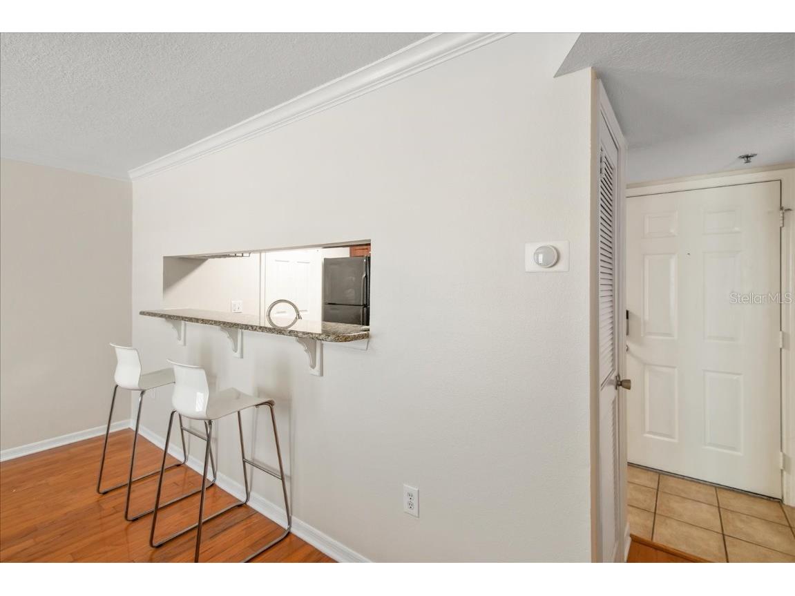 1000 W Horatio Street #215 Tampa FL 33606 TB8429394 image12