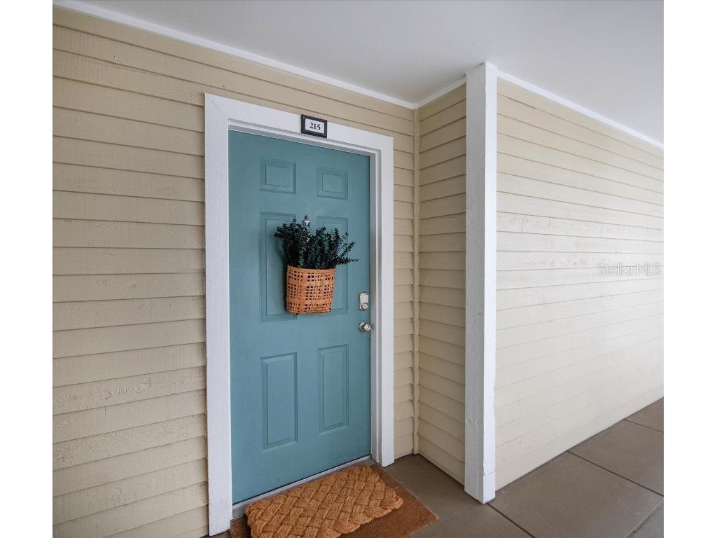 1000 W Horatio Street #215 Tampa FL 33606 TB8429394 image7