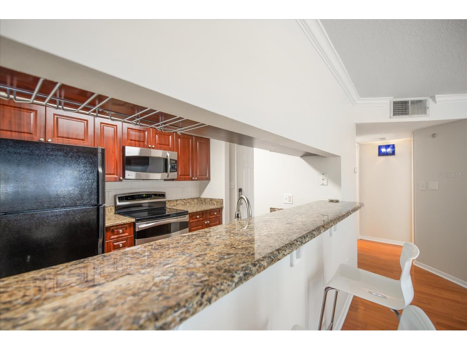 1000 W Horatio Street #215 Tampa FL 33606 TB8517310 image10