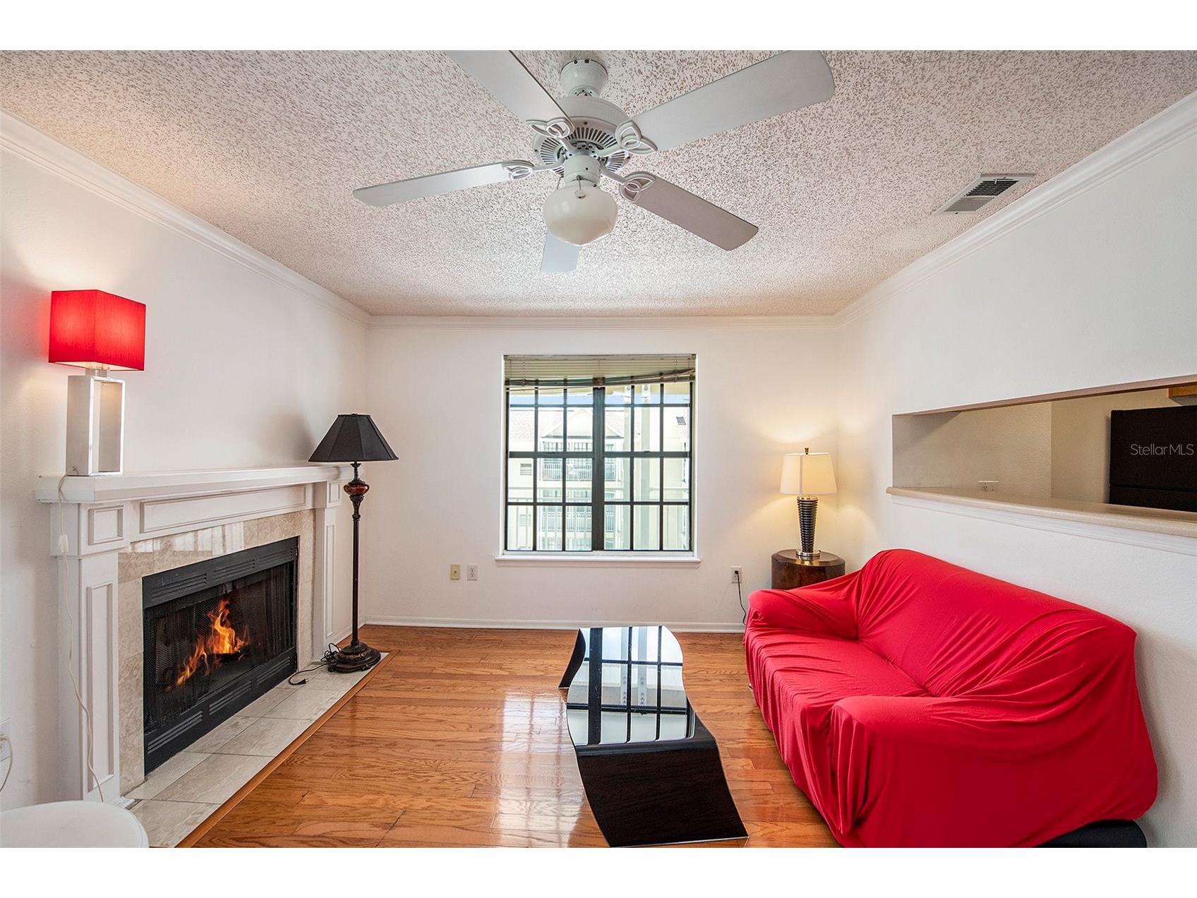 1000 W Horatio Street #301 Tampa FL 33606 TB8513384 image6