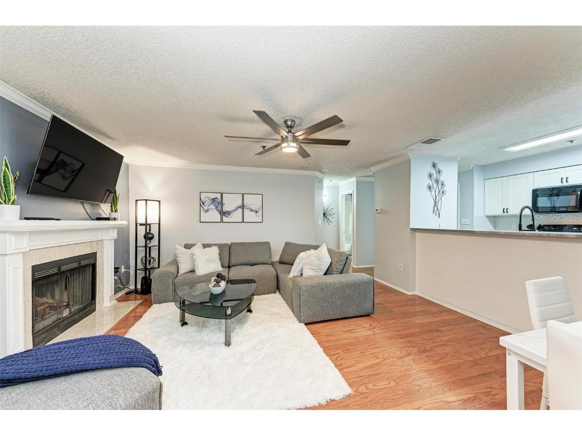 1000 W Horatio Street #303 Tampa FL 33606 A4666896 image3