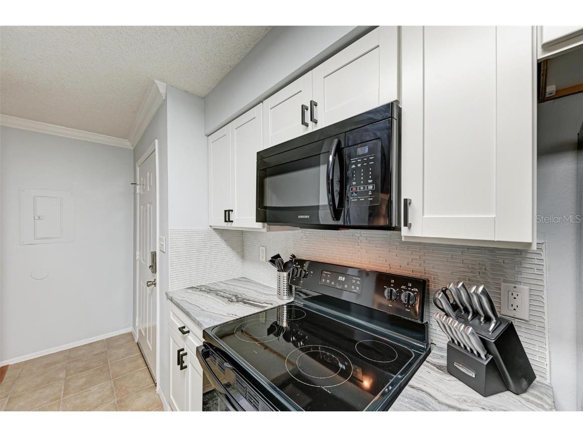 1000 W Horatio Street #303 Tampa FL 33606 A4666896 image9