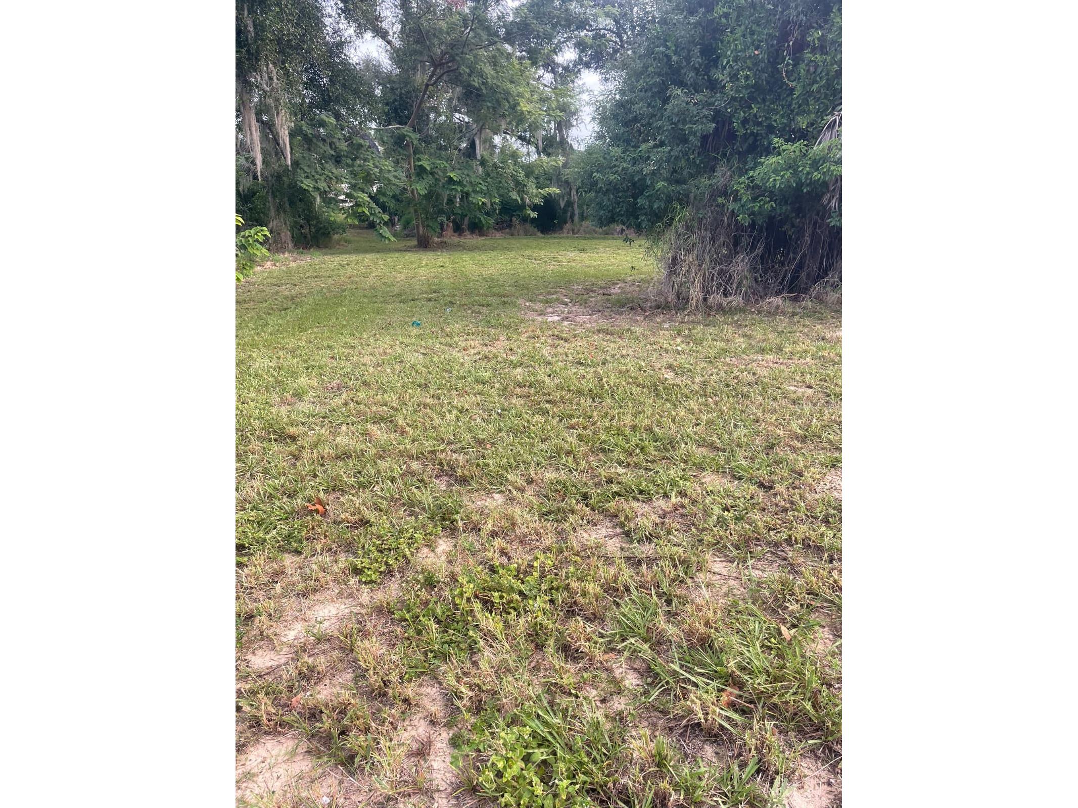 1000 W Montrose Street Clermont FL 34711 O6394452 image3
